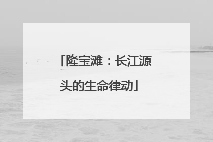 隆宝滩：长江源头的生命律动