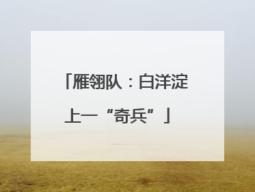 雁翎队：白洋淀上一“奇兵”