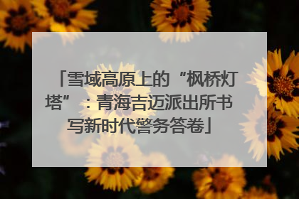 雪域高原上的“枫桥灯塔”：青海吉迈派出所书写新时代警务答卷