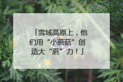 雪域高原上，他们用“小蘑菇”创造大“蘑”力！