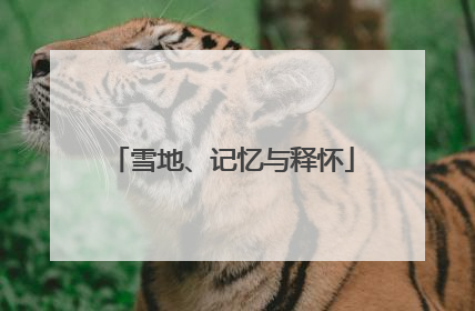 雪地、记忆与释怀