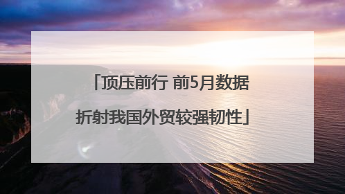 顶压前行 前5月数据折射我国外贸较强韧性