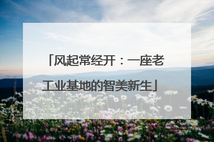 风起常经开：一座老工业基地的智美新生