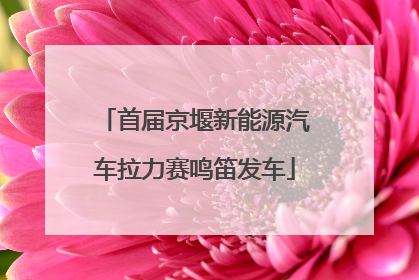 首届京堰新能源汽车拉力赛鸣笛发车