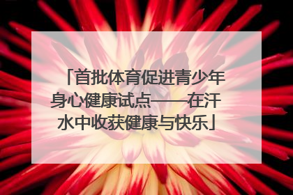 首批体育促进青少年身心健康试点——在汗水中收获健康与快乐