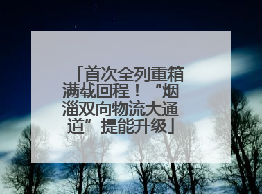 首次全列重箱满载回程！“烟淄双向物流大通道”提能升级