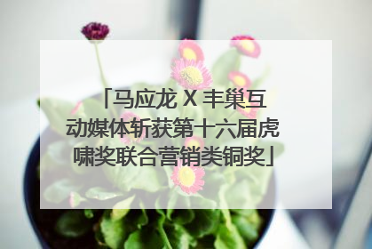 马应龙 X 丰巢互动媒体斩获第十六届虎啸奖联合营销类铜奖
