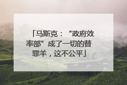 马斯克：“政府效率部”成了一切的替罪羊，这不公平