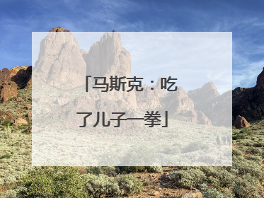 马斯克：吃了儿子一拳