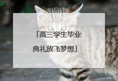 高三学生毕业典礼放飞梦想