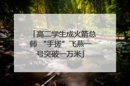 高二学生成火箭总师 “手搓”飞燕一号突破一万米