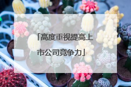 高度重视提高上市公司竞争力