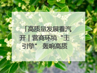高质量发展看汽开｜营商环境“主引擎” 轰响高质量发展新赛道