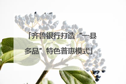 齐鲁银行打造“一县多品”特色普惠模式