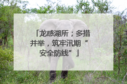 龙感湖所；多措并举，筑牢汛期“安全防线”
