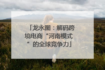 龙永图：解码跨境电商“河南模式”的全球竞争力