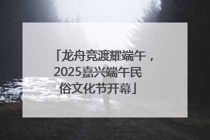 龙舟竞渡耀端午，2025嘉兴端午民俗文化节开幕