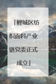 鲤城区纺织面料产业链党委正式成立