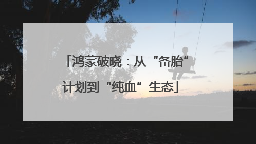 鸿蒙破晓：从“备胎”计划到“纯血”生态