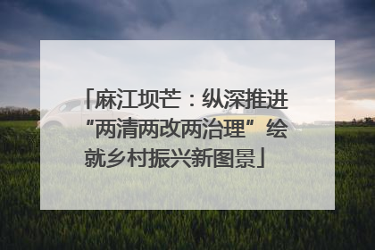 麻江坝芒：纵深推进“两清两改两治理”绘就乡村振兴新图景