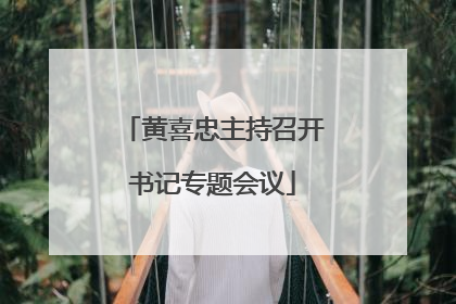 黄喜忠主持召开书记专题会议