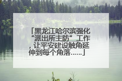 黑龙江哈尔滨强化“派出所主防”工作，让平安建设触角延伸到每个角落……