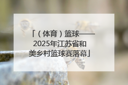 （体育）篮球——2025年江苏省和美乡村篮球赛落幕
