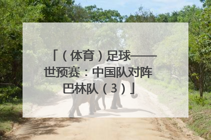 （体育）足球——世预赛：中国队对阵巴林队（3）