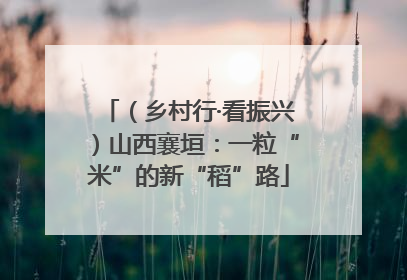 （乡村行·看振兴）山西襄垣：一粒“米”的新“稻”路