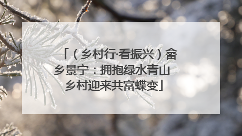 （乡村行·看振兴）畲乡景宁：拥抱绿水青山 乡村迎来共富蝶变