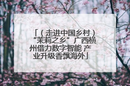 （走进中国乡村）“茉莉之乡”广西横州借力数字智能 产业升级香飘海外