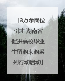 3万余岗位引才 湖南省促进高校毕业生留湘来湘系列行动启动