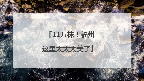 11万株！福州这里太太太美了