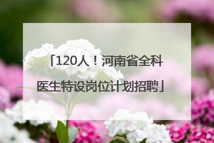 120人！河南省全科医生特设岗位计划招聘