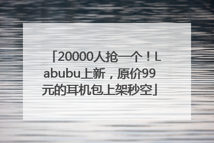 20000人抢一个！Labubu上新，原价99元的耳机包上架秒空