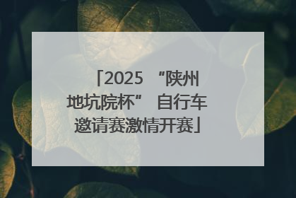 2025 “陕州地坑院杯” 自行车邀请赛激情开赛