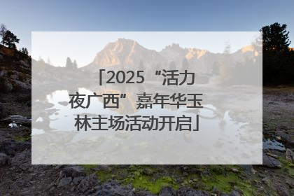 2025“活力夜广西”嘉年华玉林主场活动开启