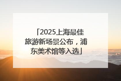 2025上海最佳旅游新场景公布，浦东美术馆等入选