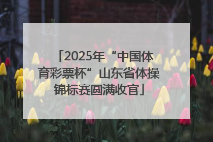2025年“中国体育彩票杯”山东省体操锦标赛圆满收官