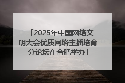 2025年中国网络文明大会优质网络主播培育分论坛在合肥举办