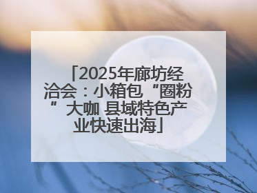 2025年廊坊经洽会：小箱包“圈粉”大咖 县域特色产业快速出海