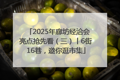 2025年廊坊经洽会亮点抢先看（三）丨6街16巷，邀你逛市集