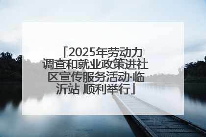2025年劳动力调查和就业政策进社区宣传服务活动·临沂站 顺利举行