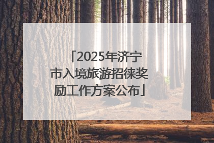 2025年济宁市入境旅游招徕奖励工作方案公布