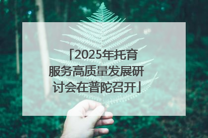 2025年托育服务高质量发展研讨会在普陀召开