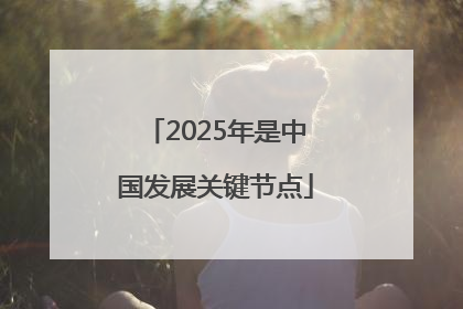 2025年是中国发展关键节点