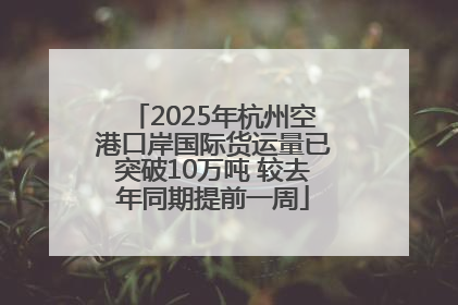 2025年杭州空港口岸国际货运量已突破10万吨 较去年同期提前一周