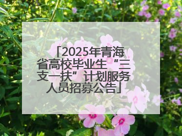 2025年青海省高校毕业生“三支一扶”计划服务人员招募公告