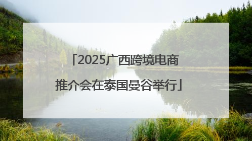 2025广西跨境电商推介会在泰国曼谷举行