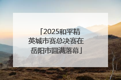 2025和平精英城市赛总决赛在岳阳市圆满落幕